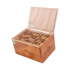 PERSIAN QUEEN GRYPHON (6X60) BOX OF 50