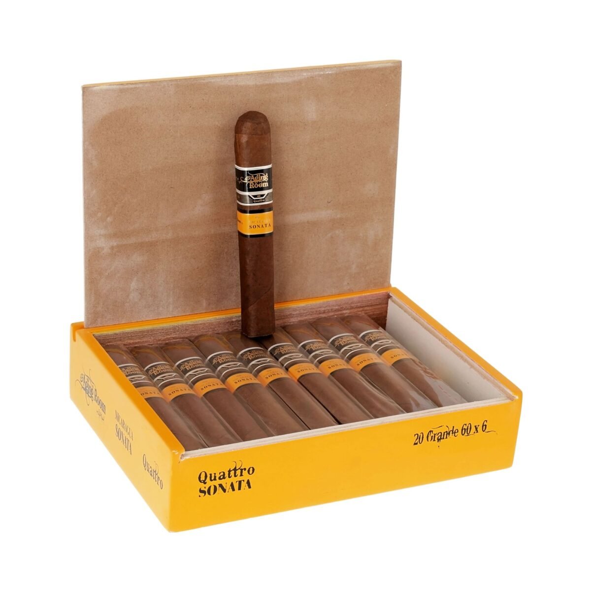 AGING ROOM QUATTRO NICA SONATA GRANDE (60X6) BOX OF 20