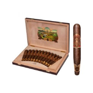 OLIVA SERIE V 135 ANNIVERSARY EDICION REAL BOX OF 12