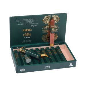 PLASENCIA ALMA FUERTE NAT-SIXTO HEXAGON (6X60) TUBO BOX OF 10