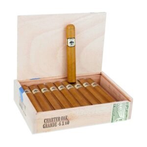 CHARTER OAK SHADE GRANDE BOX OF 20