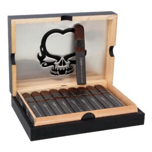 ASYLUM PCA (50X5) BOX OF 20