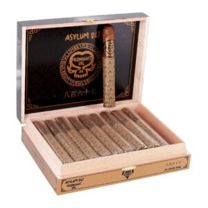 ASYLUM 867 MIDNIGHT OIL 54 (54X6) BOX OF 20