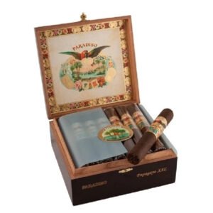 ASHTON SAN CRISTOBAL PAPAGAYO XXL BOX OF 24