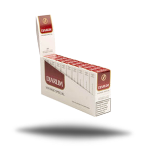 DJARUM VINTAGE RUBY 100CT 10 PK OF 10